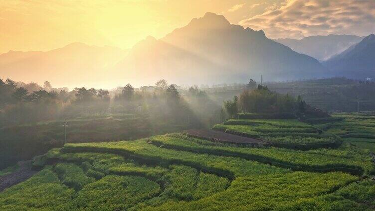 山间 大山 阳光 清晨 晨雾 梯田