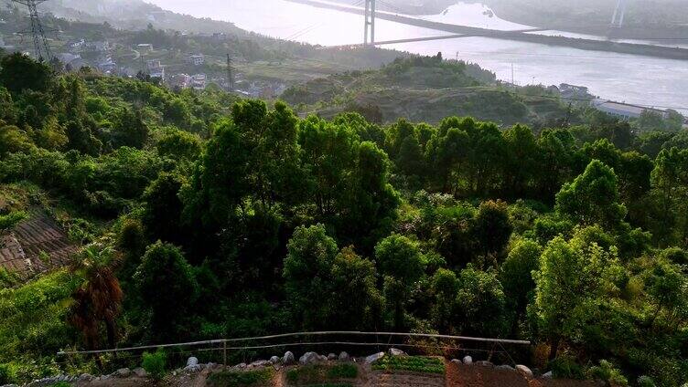 在半坡雅望民宿看三峡大坝和五级船闸