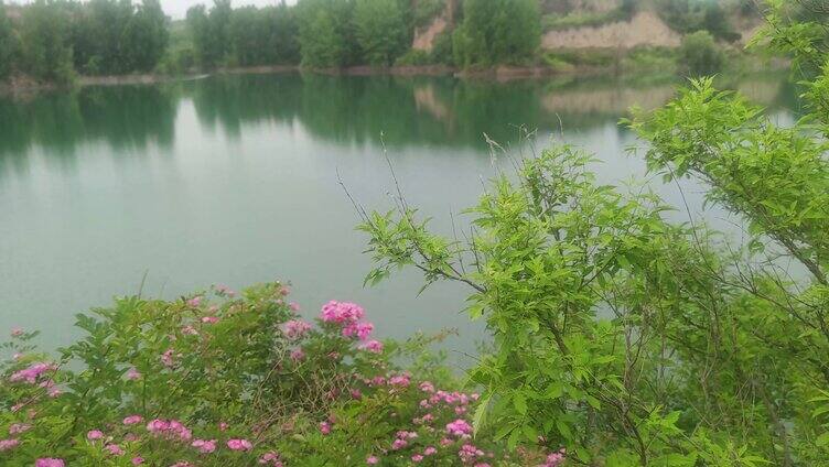 河水湖畔自然风景
