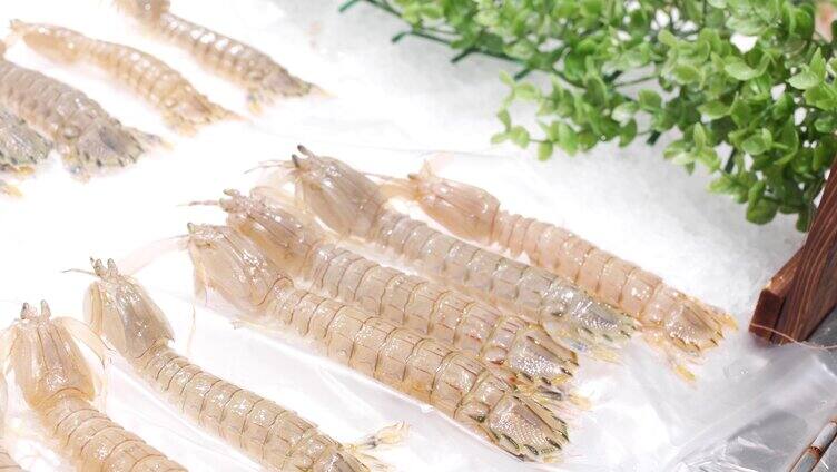 水产海鲜 皮皮虾 虾  大金錩 海螺 扇