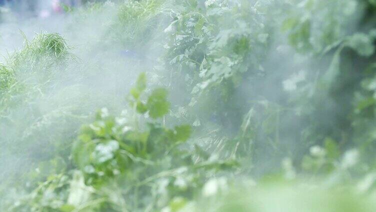 蔬菜喷雾加湿器 超市生鲜蔬菜喷雾加湿保鲜
