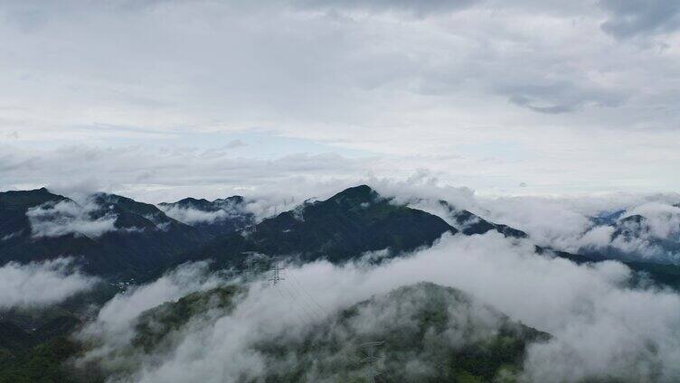 大自然云海谷雨森林