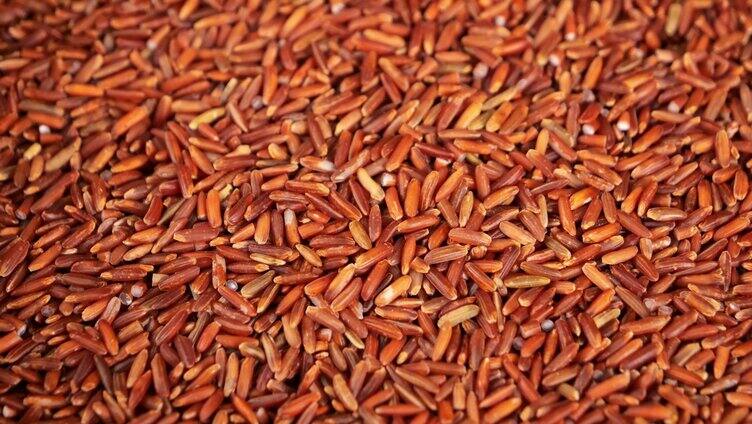 红米 红米稻