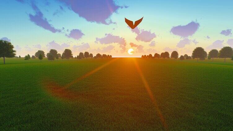 纸飞机迎着太阳在草原上飞翔放飞梦想