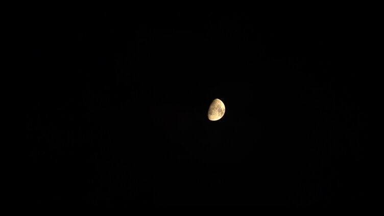 金色的月亮 月亮