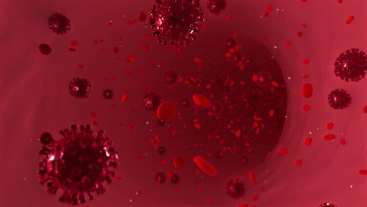 新冠病毒血小板血管流动AE工程