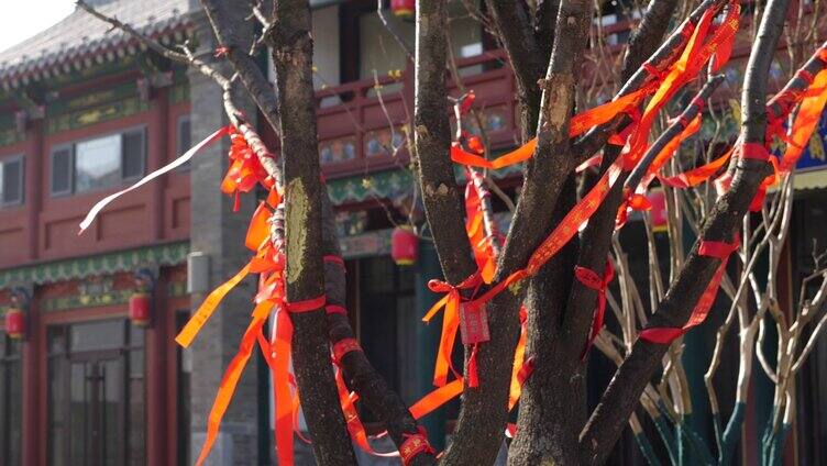 祈福树-许愿树-祈愿树红色丝带 祈求