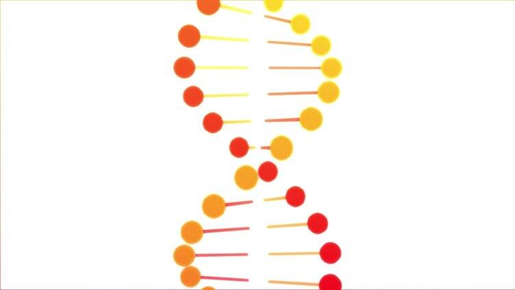 DNA基因序列3DMG动画4KAE工程