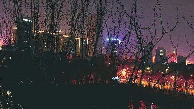 城市夜景全景红灯笼树风景4K视频素材