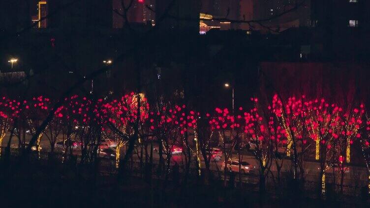 城市夜景红灯笼树风景4K视频素材
