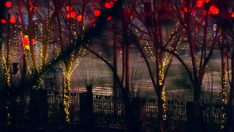 城市夜景红灯笼树风景4K视频素材