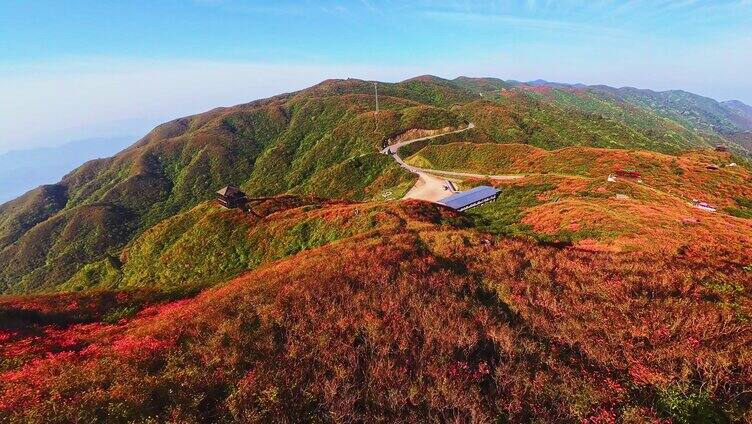 长沙大围山森林公园杜鹃花海穿越机