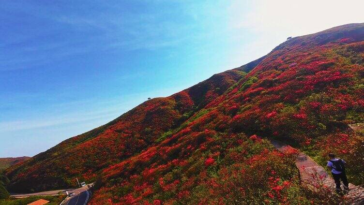 长沙大围山森林公园杜鹃花海穿越机