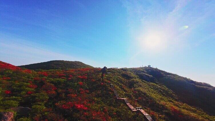 长沙大围山森林公园杜鹃花海穿越机