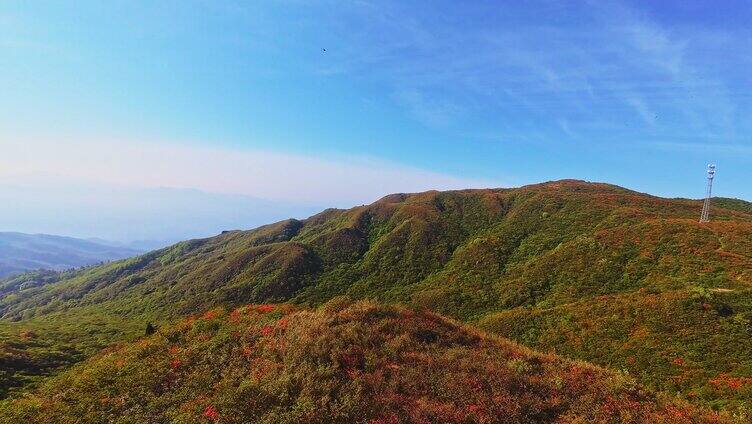 长沙大围山森林公园杜鹃花海穿越机