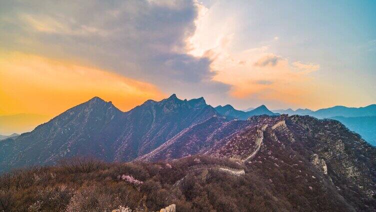 北京春天长城漫山遍野山桃花夕阳日落