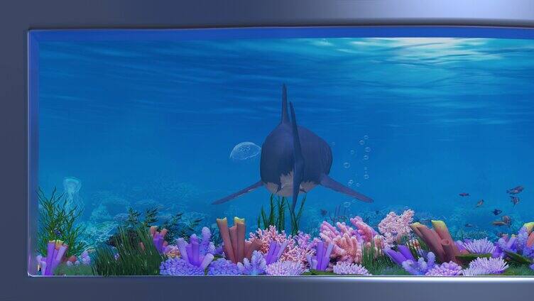 高清鲨鱼户外裸眼3d出屏出框艳丽海底世界