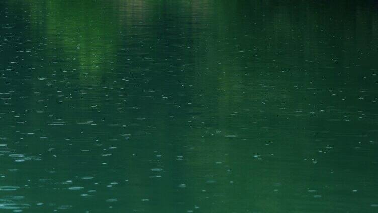 雨天下雨小雨春分节气春雨水面