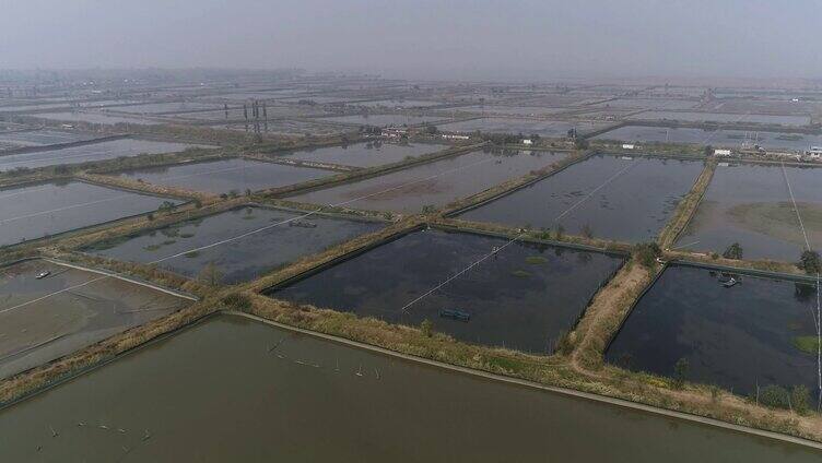 老子山 湖面种植养鱼1