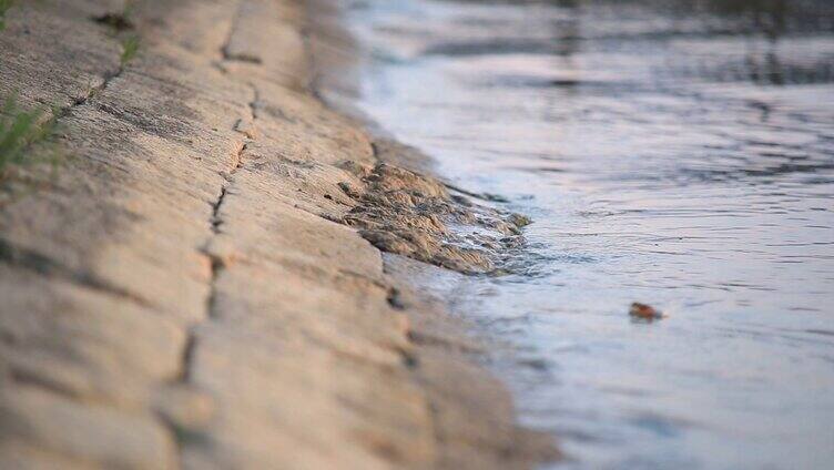 洪泽湖 水拍打 岸边石头1