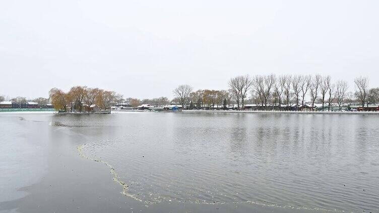 北京冬季什刹海雪中自然风光