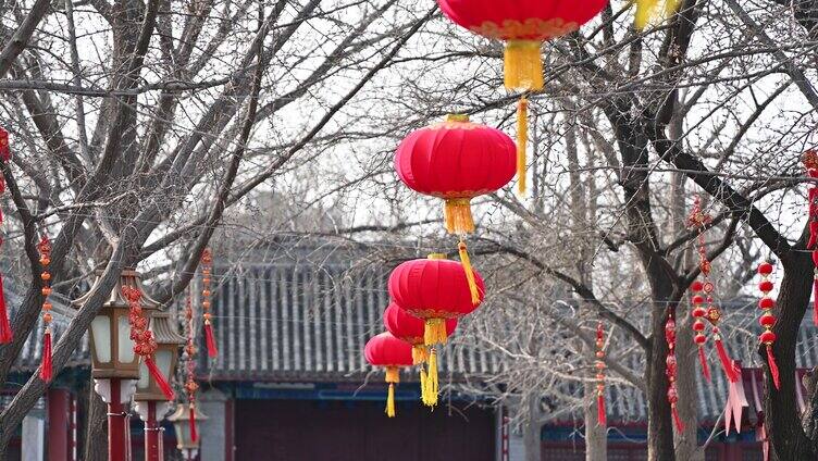 中国春节节日树上悬挂中国风红灯笼