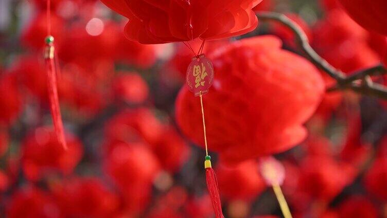 中国北京地坛庙会春节树上悬挂红灯笼