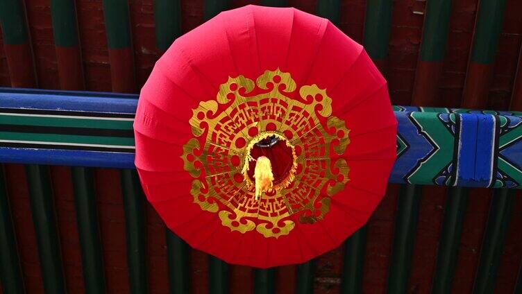 中国春节节日树上悬挂中国风红灯笼