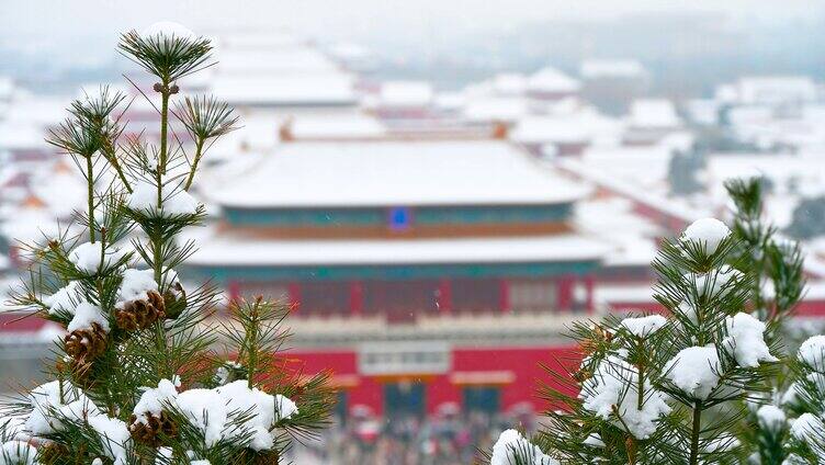 北京冬季下雪天故宫博物院古建筑群风光