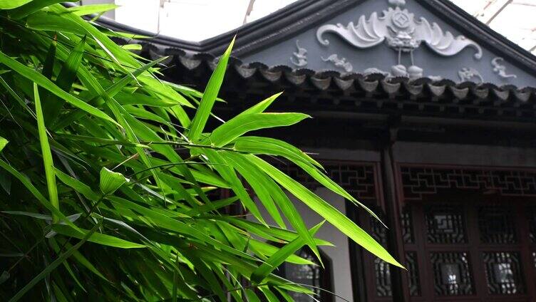 江南园林古建筑与绿竹竹叶