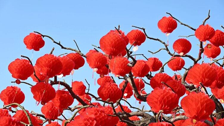 中国北京地坛庙会春节树上悬挂红灯笼