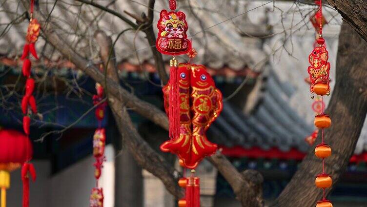 中国春节节日树上悬挂中国风中国结