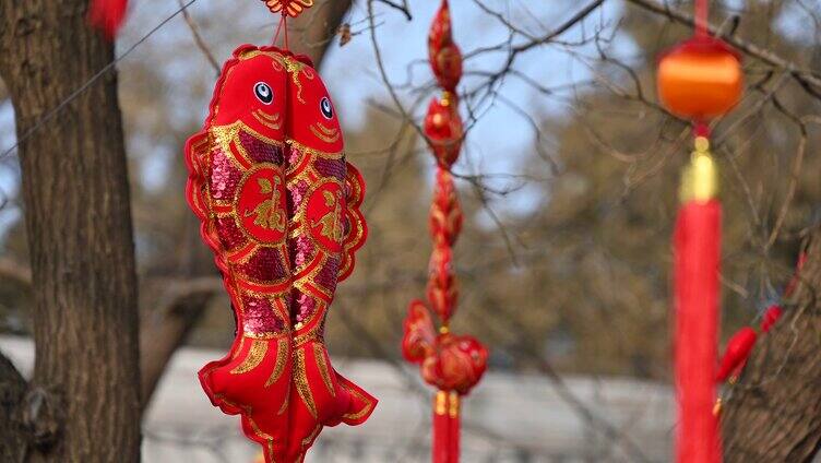 中国春节节日树上悬挂中国风中国结