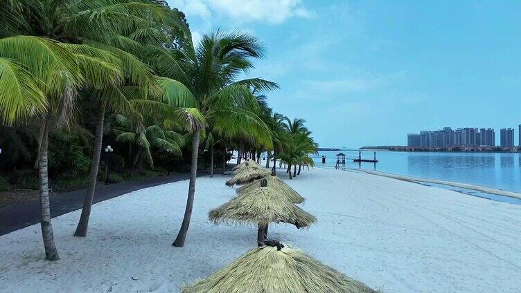 海南风光沙滩椰子树  