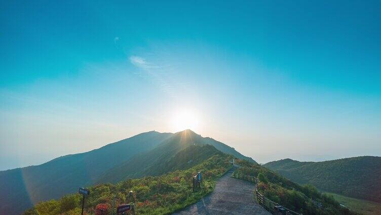 4k浏阳大围山杜鹃花海延时