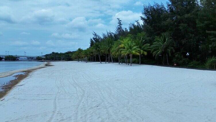 海南风光沙滩椰子树  