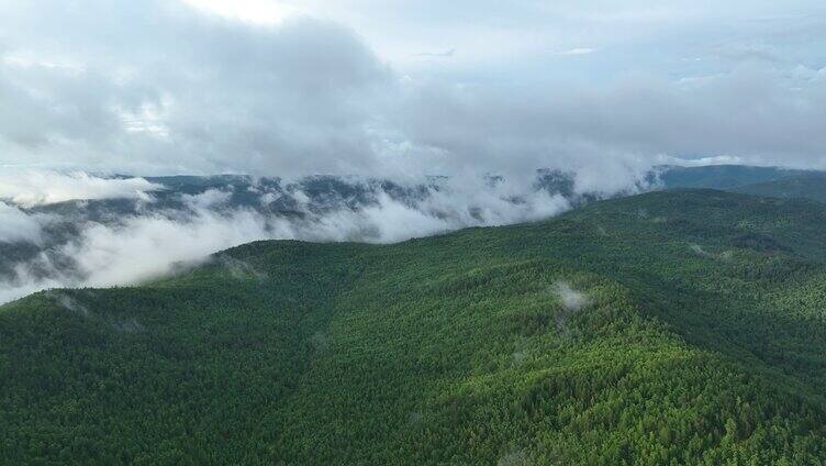 航拍苍茫山林云雾缭绕