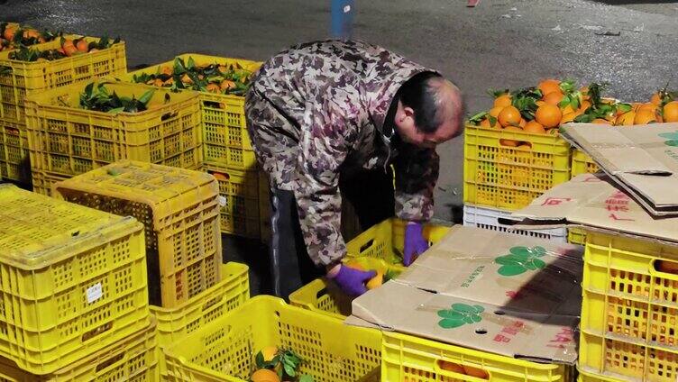 水果批发市场 水果交易