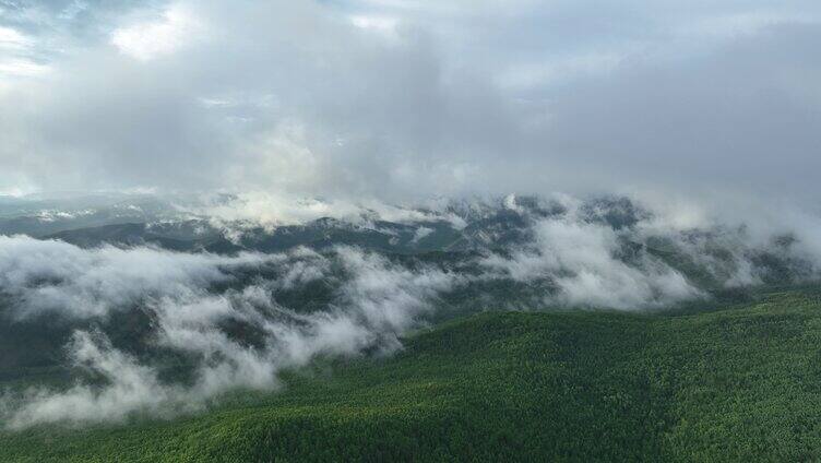 航拍苍茫山林云雾缭绕