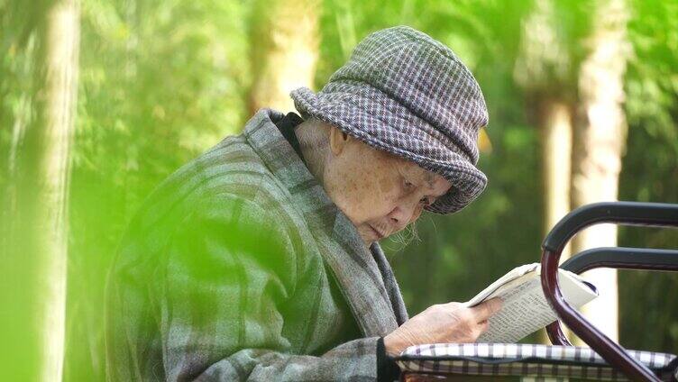 老人退休生活在公园看书
