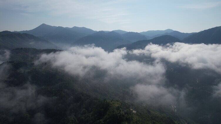 福建福安山中云雾