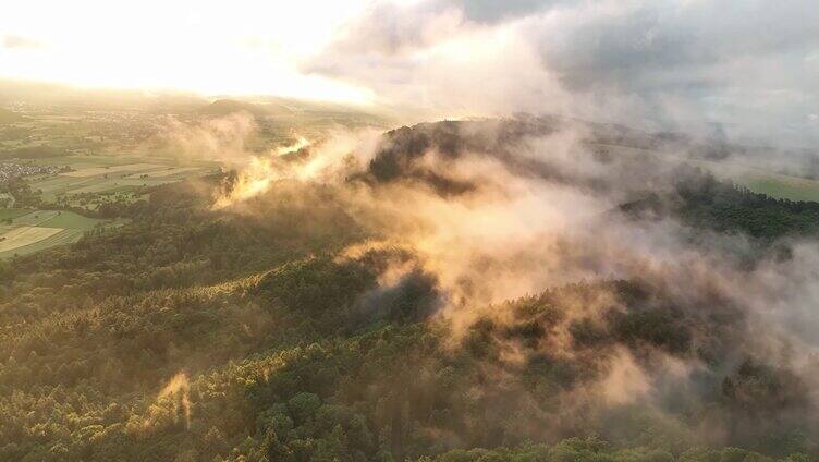 航拍日出森林迷雾森林自然生态云雾森林浓雾