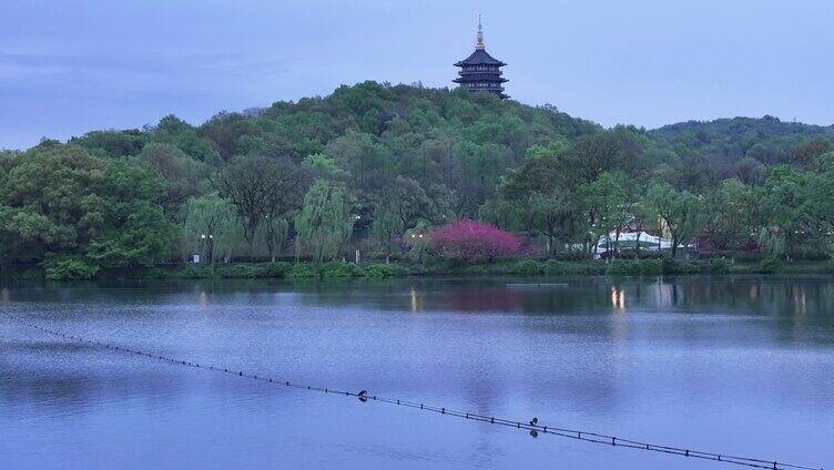 4k雷峰塔远景