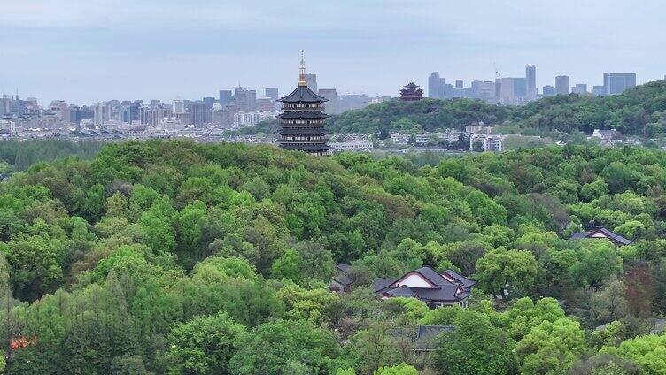 4k雷峰塔远景