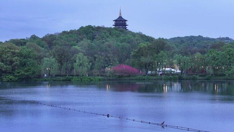 4k雷峰塔远景