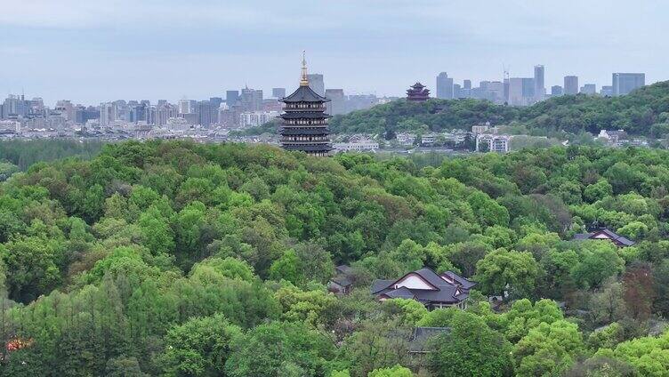 4k雷峰塔远景