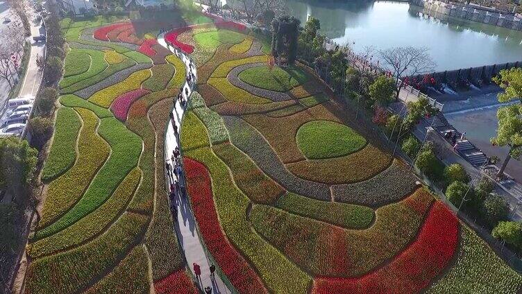 花海游人如织风景