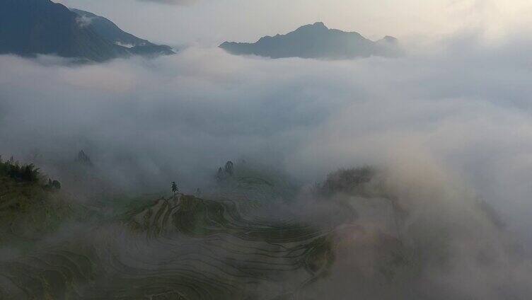 云和梯田日出云海景观中国最美梯田景色