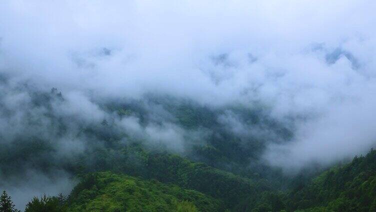 雨后云雾缭绕山区山林美景