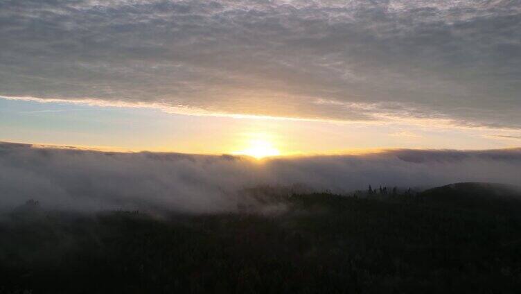 航拍云雾森林云海日出清晨迷雾天际线自然景